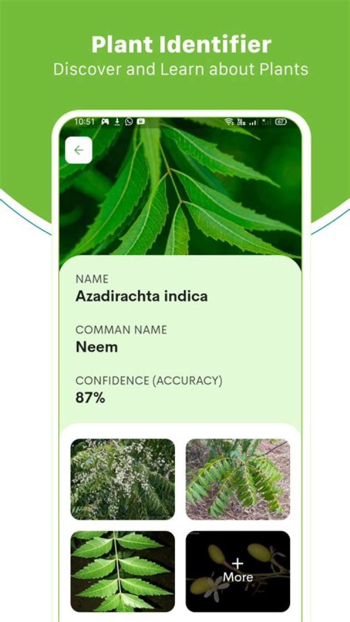 Is there a free app to identify plants?