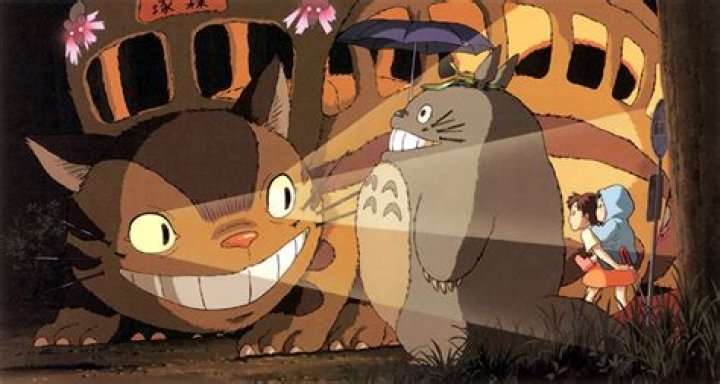 Is Totoro a villain?