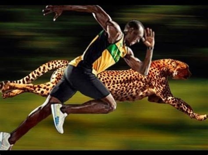 Is Usain Bolt faster than a cheetah?