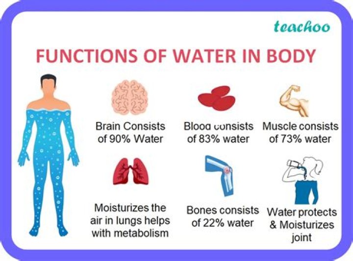Is wine better than water for the body?