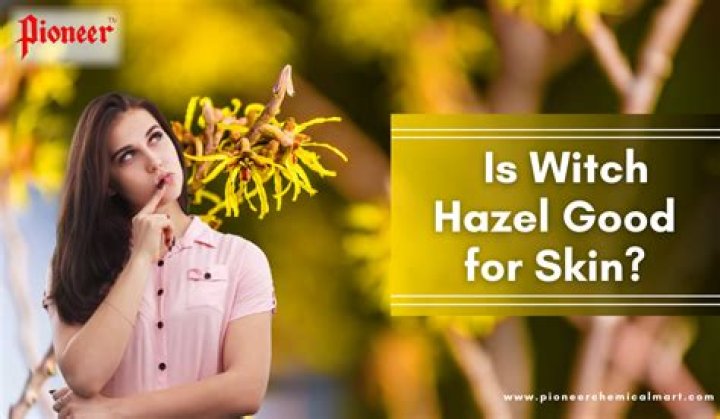 Is witch hazel good for skin?