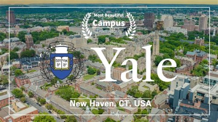 Is Yale a chill?