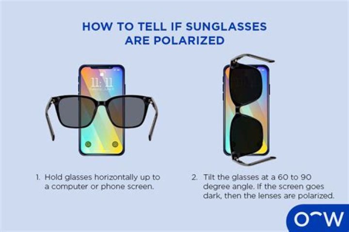 Should I get polarized glasses?