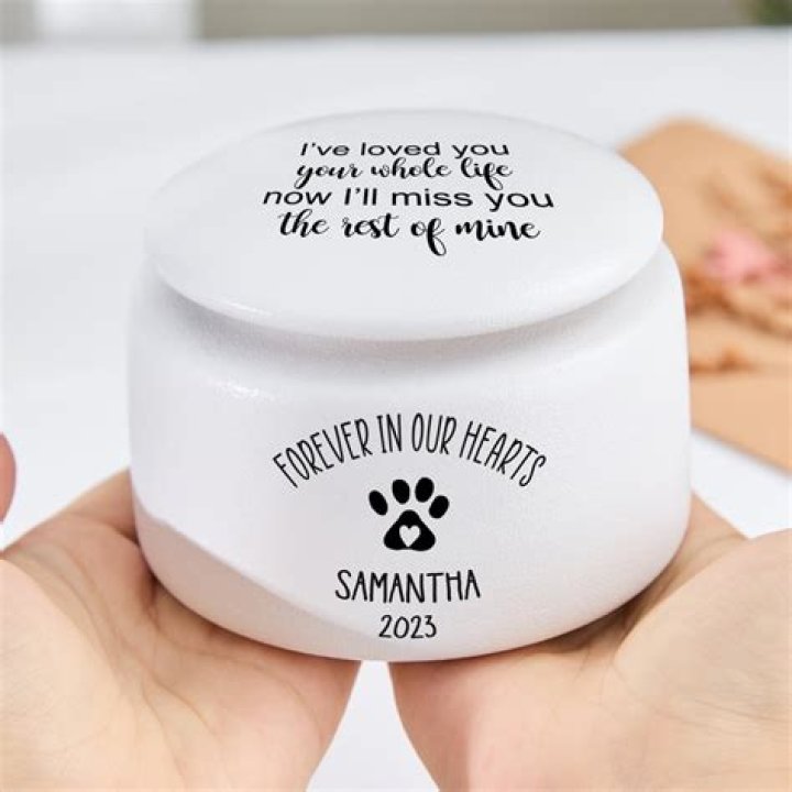 Should I keep my dogs ashes?
