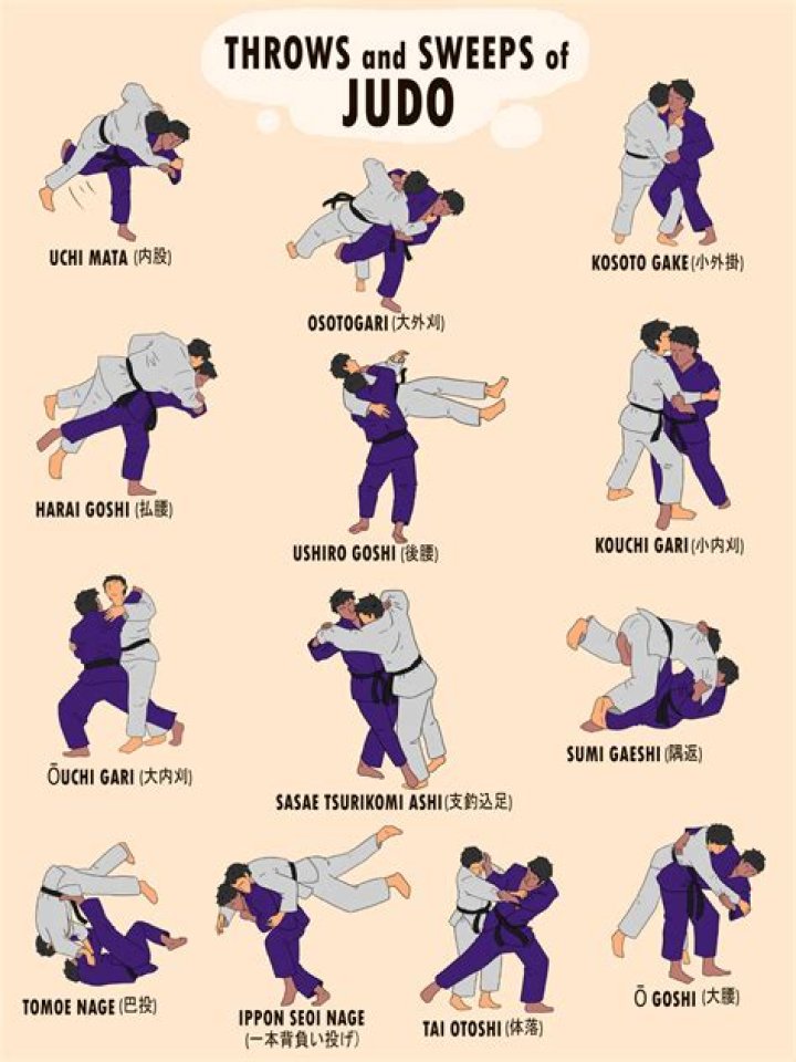 Should I learn Judo or BJJ first?