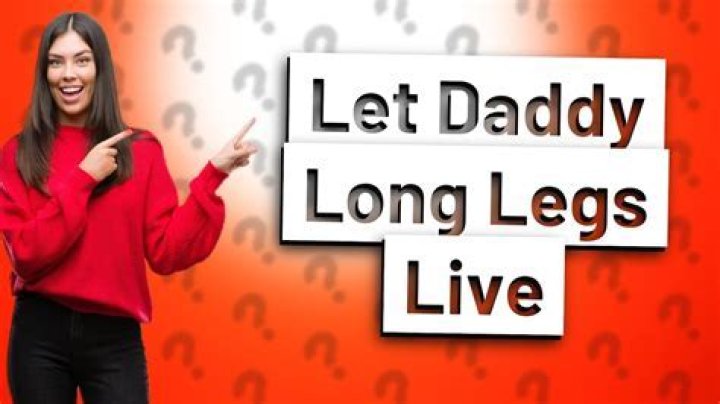 Should I let Daddy Long Legs live?