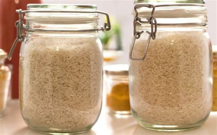 Should you freeze rice before long-term storage?
