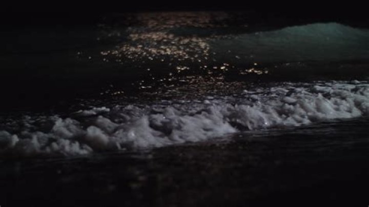 Should you swim in the ocean at night?