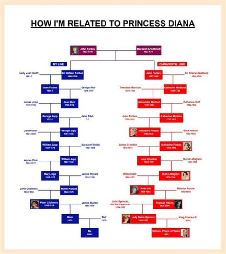 Were Diana and Anne Boleyn related?