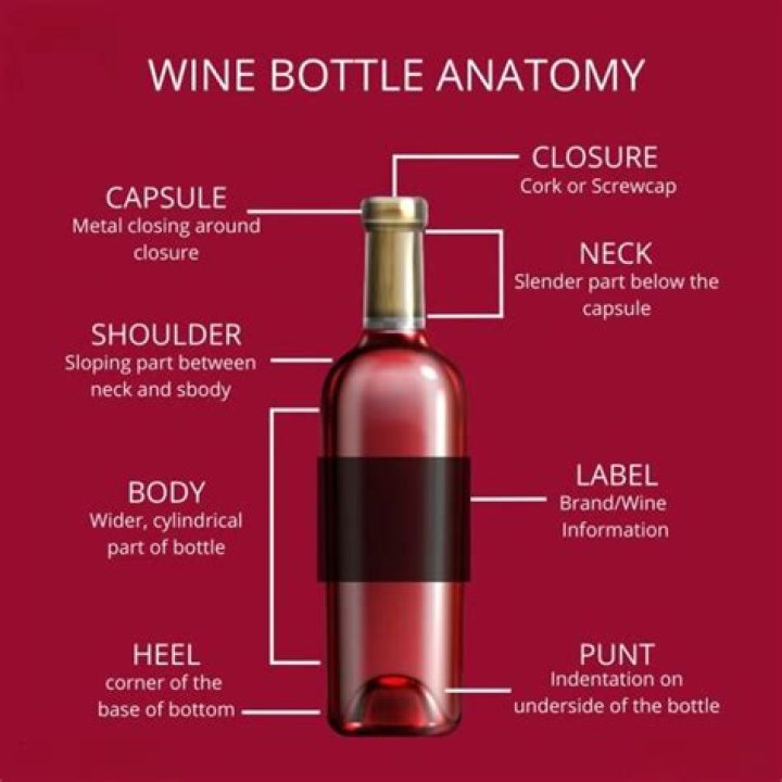 What's the bottom of a wine bottle called?