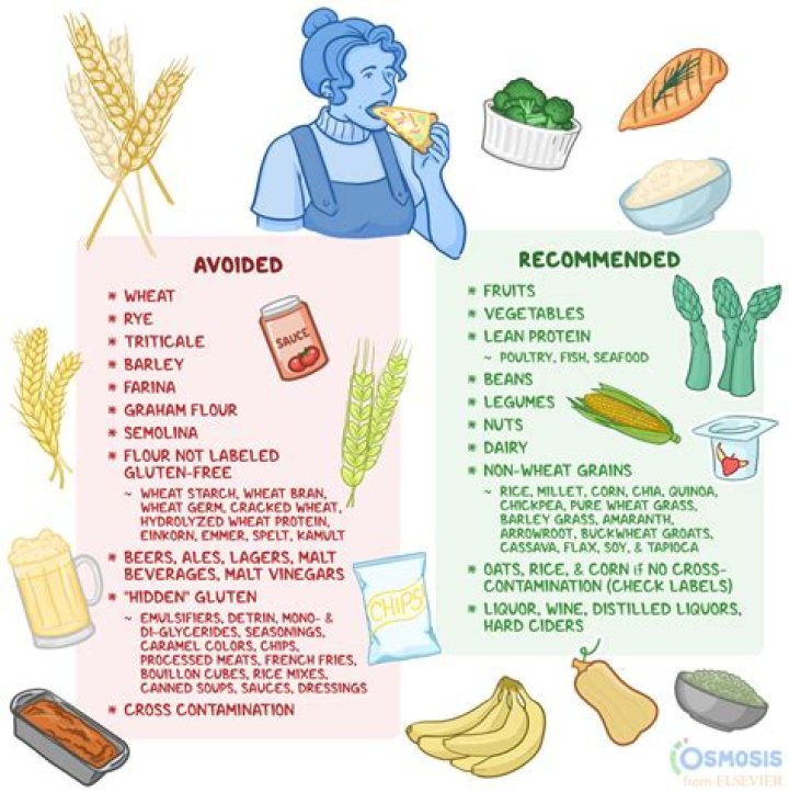 What a Leo should eat?