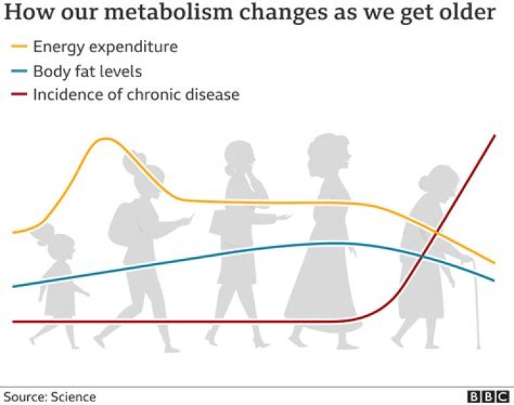 What age does metabolism peak?