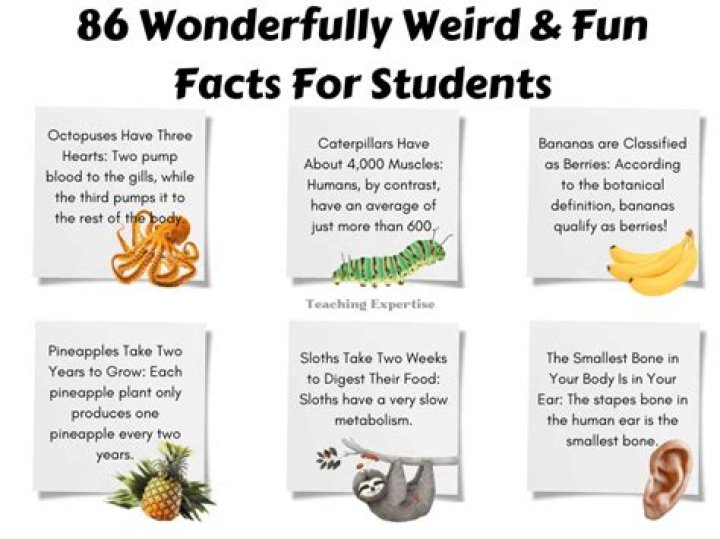 What are 10 crazy facts?