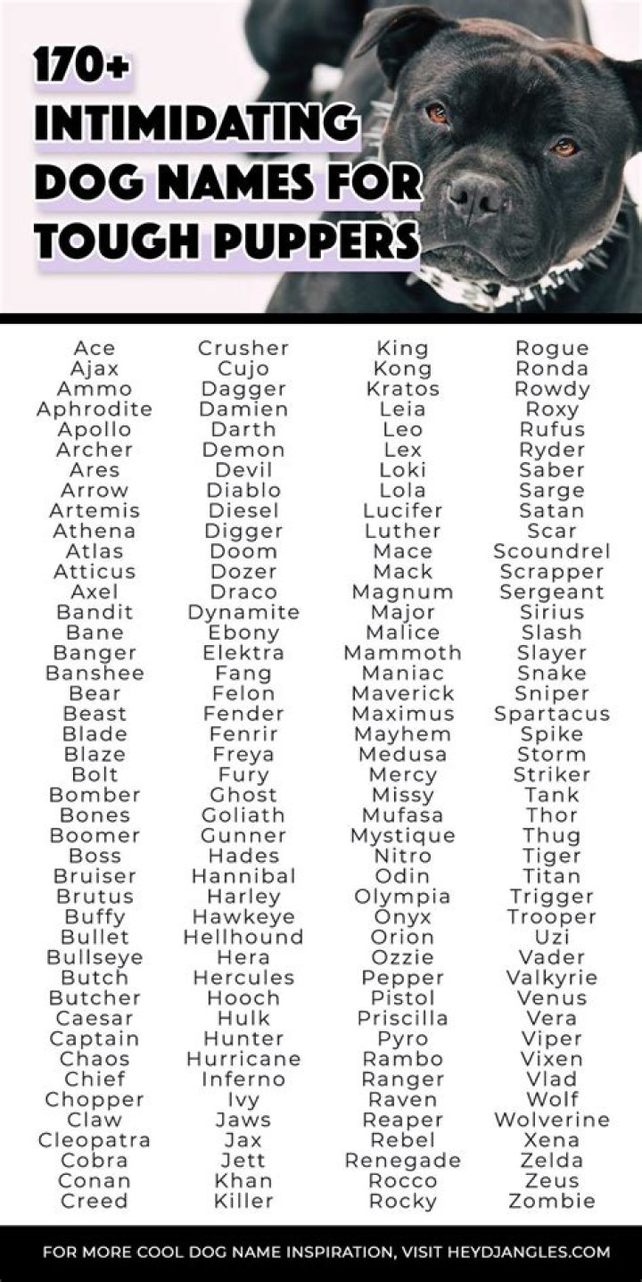 What are intimidating dog names?