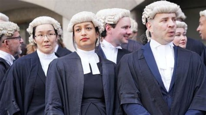 What are lawyer wigs called?