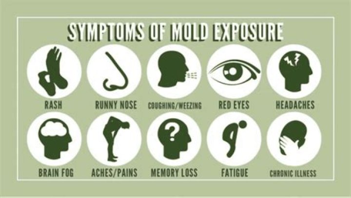 What are signs of mold sickness?