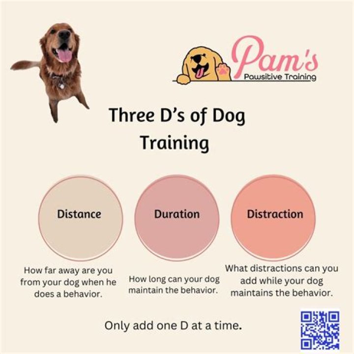 What are the 3 D's of dog training?