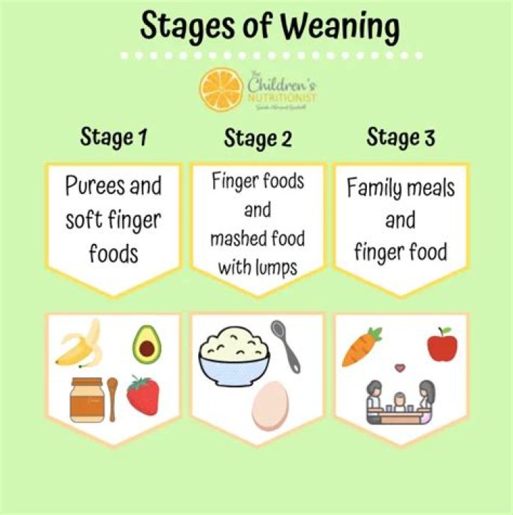 What are the 3 stages of weaning?