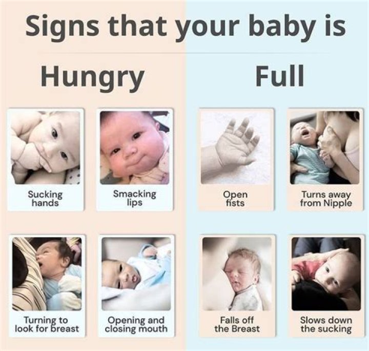 What are the danger signs that will tell you that a newborn is in distress?