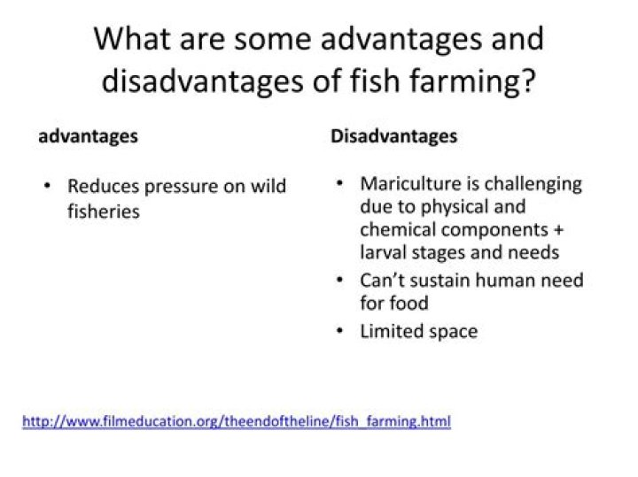 What are the disadvantages of eating fish?