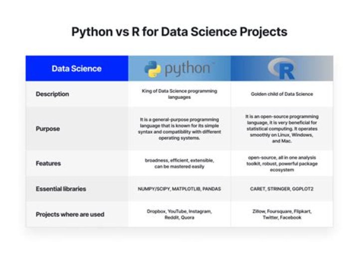 What are the disadvantages of Python?
