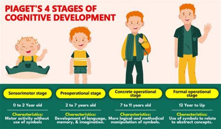 What are the four stages of intellectual development?
