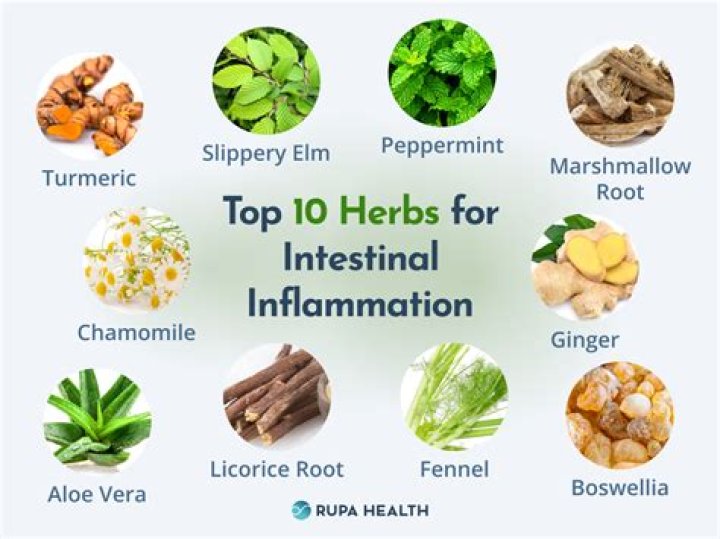 What are the home remedies for menstrual pain?