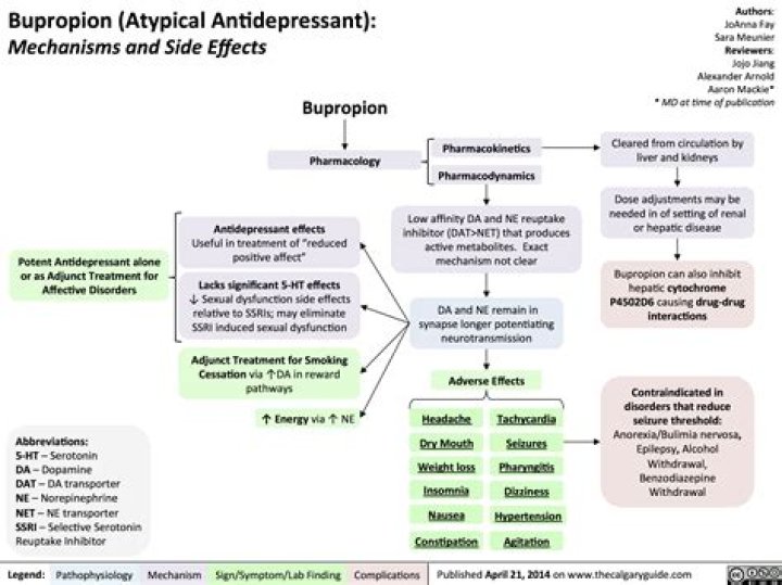 What are the side effects of bupropion?
