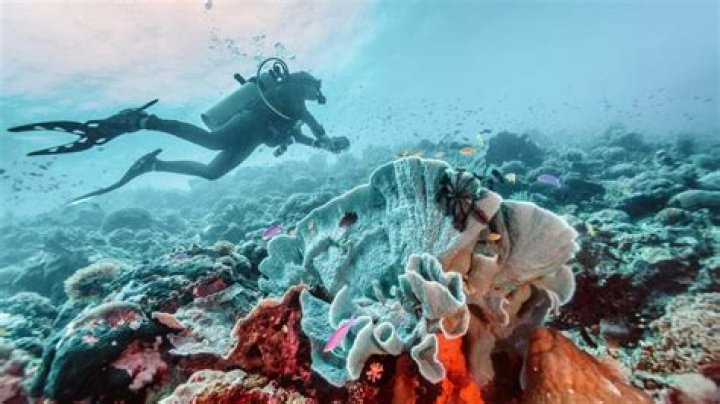What are the side effects of scuba diving?