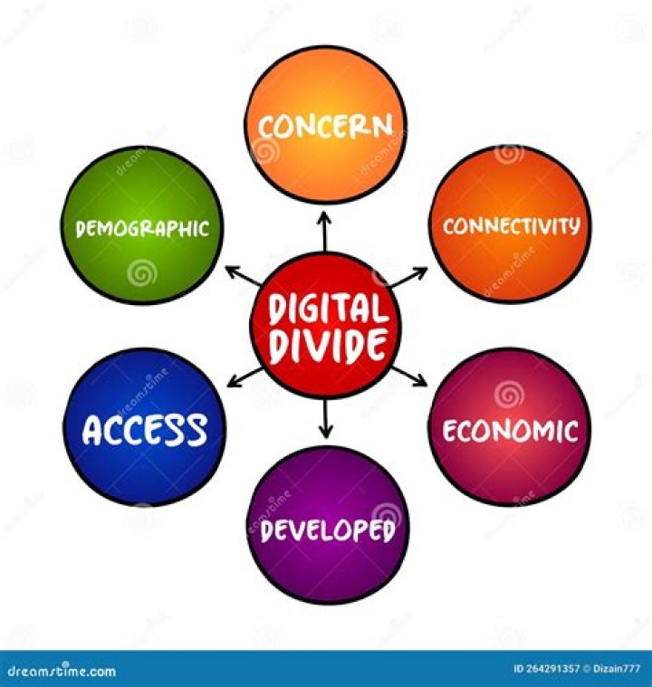 What are the three types of digital divide?