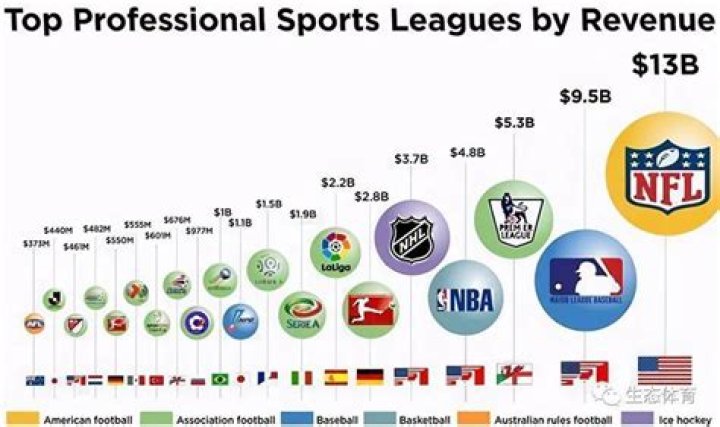What are the top 10 global sports?