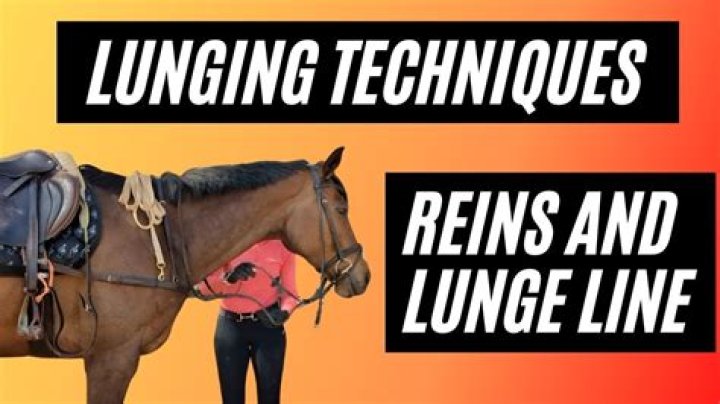 What are two benefits of lunging your horse?
