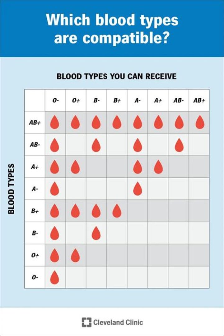 What blood type was Neanderthal?