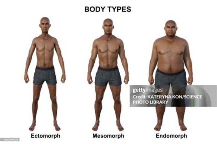 What body type is best for basketball?