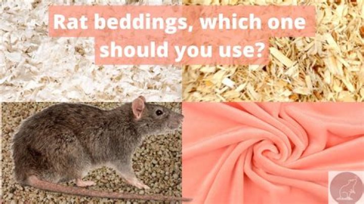 What can be used as rat bedding?