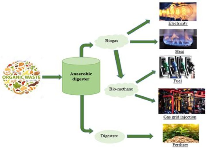 What can be used in biogas production under anaerobic condition?