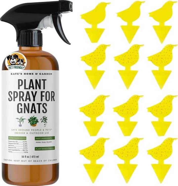 What can I spray on my dog to make her smell better?