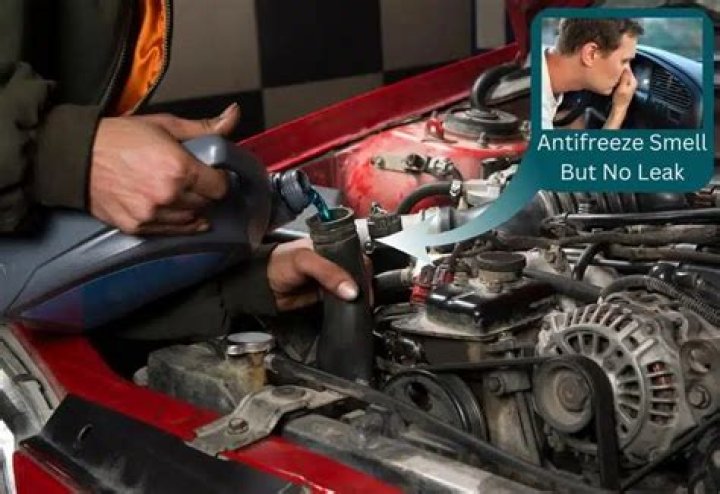 What causes loss of antifreeze but no leaks?