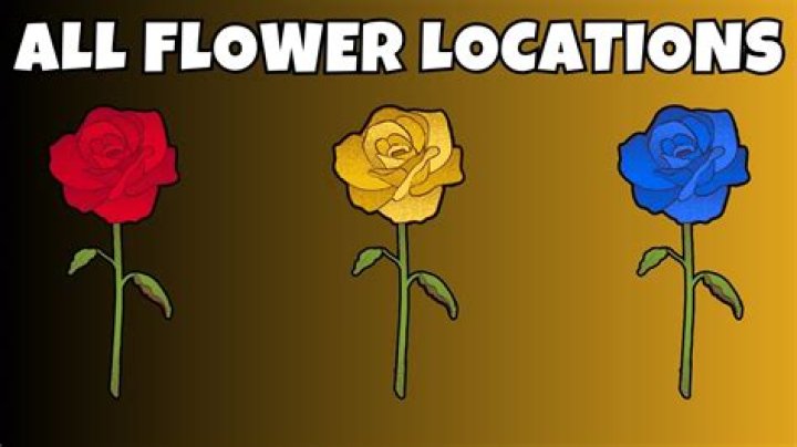 What color flower do you wear if mother is deceased?