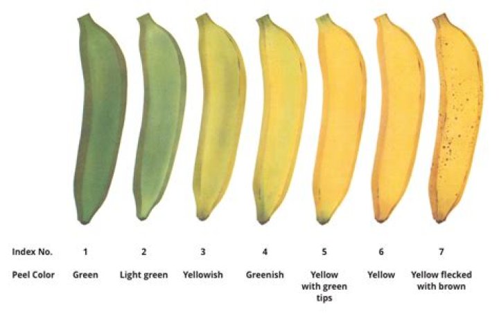 What color is a banana?