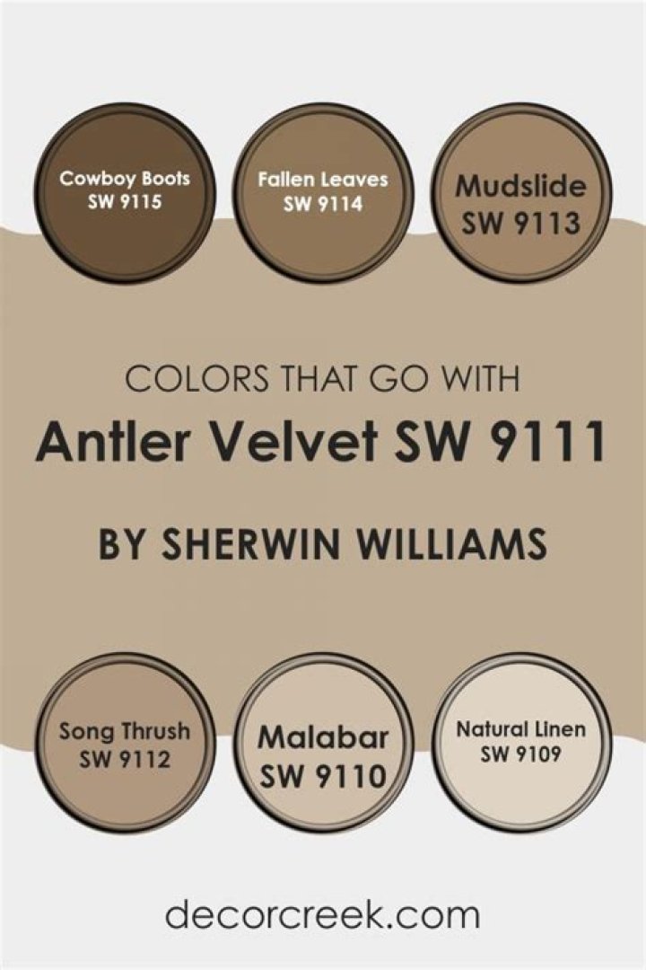 What color is antler velvet?