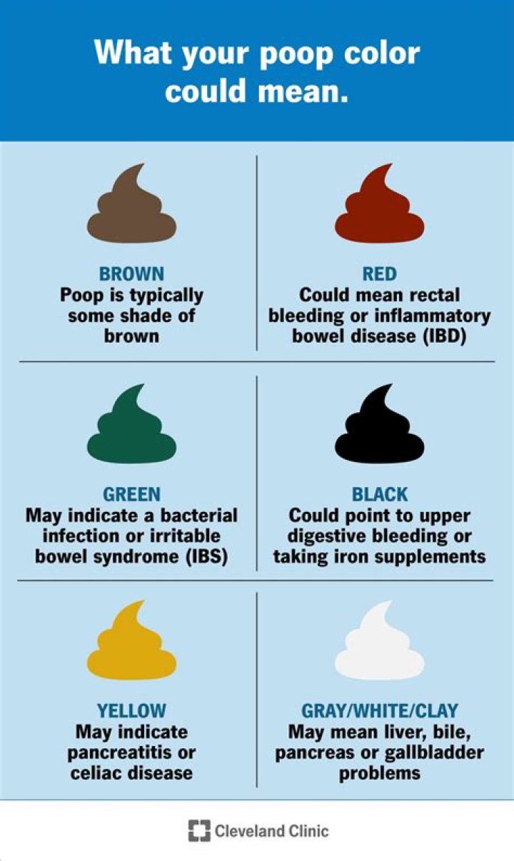 What Colour is butterfly poop?