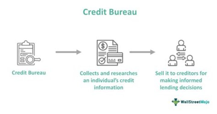 What credit bureau does the IRS use?