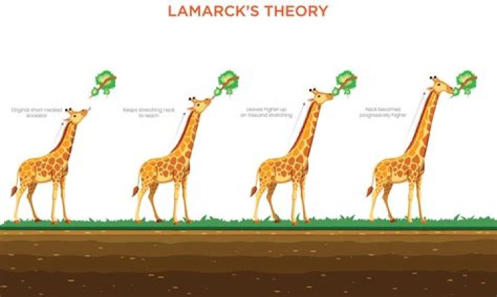 What did Lamarck discover?