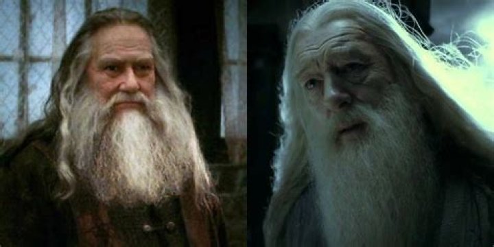 What did the Muggles do to Ariana Dumbledore?