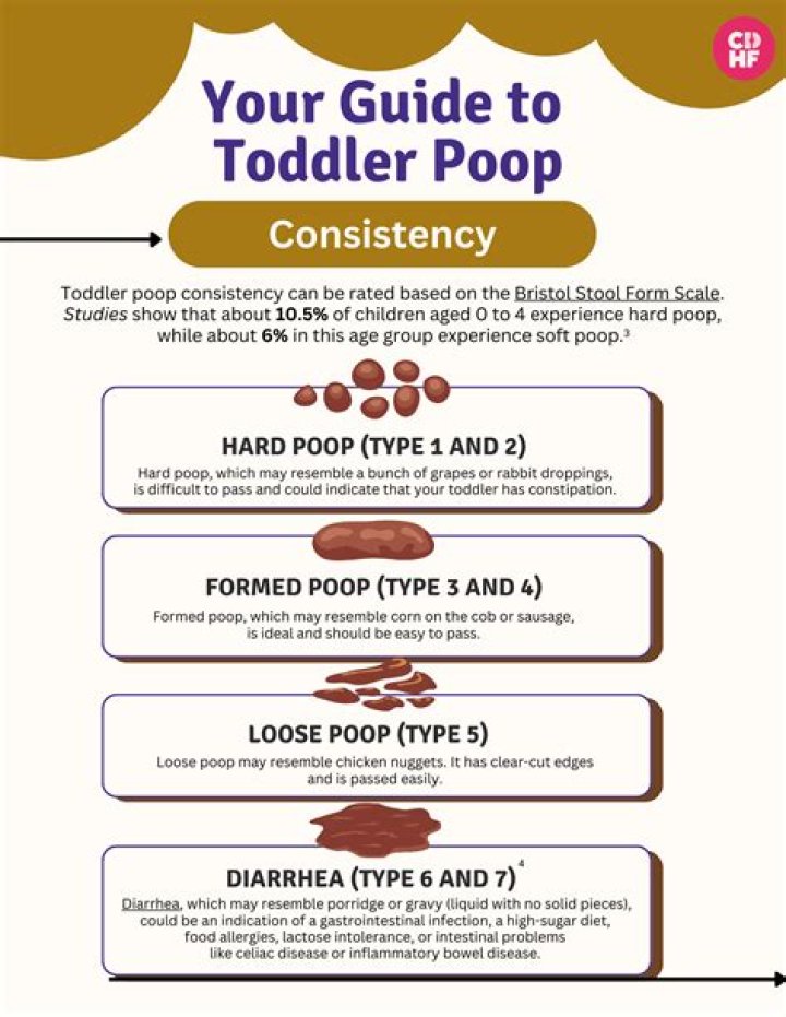 What dissolves poop in a drain?