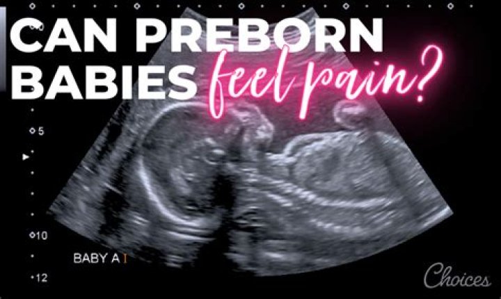What do babies feel when they are born?