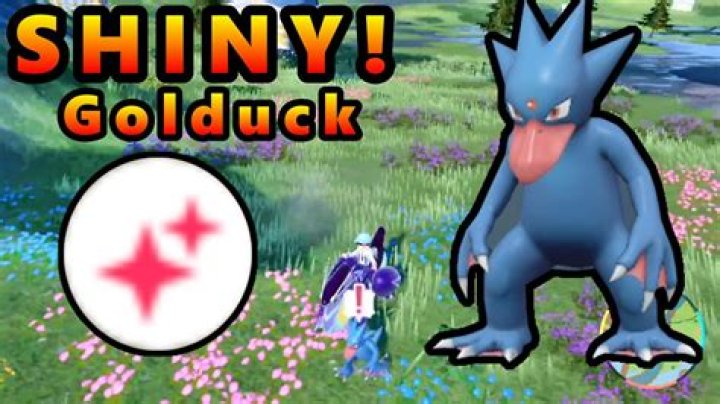 What do shiny legs mean?