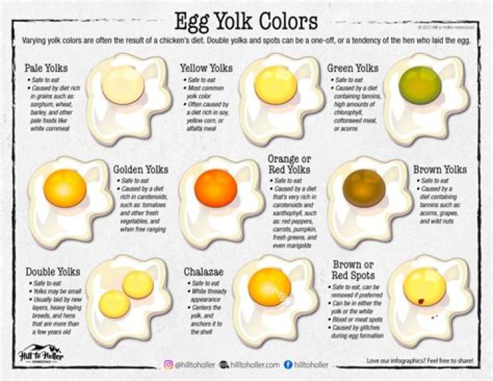What do you call an egg with broken yolk?