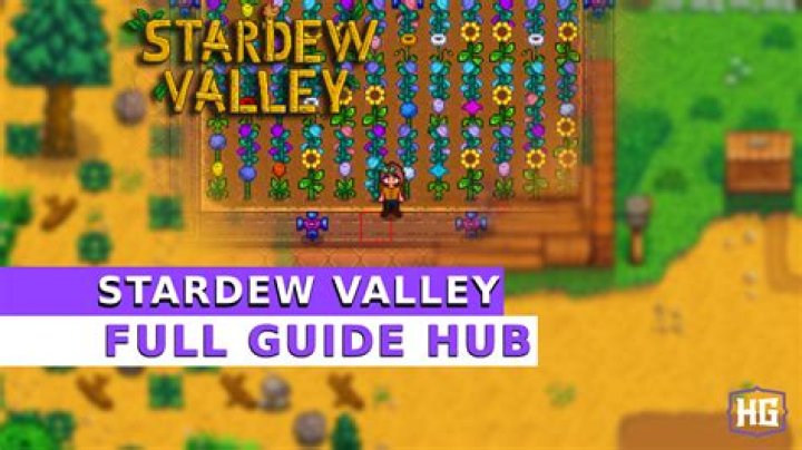 What do you show Gil Stardew Valley?